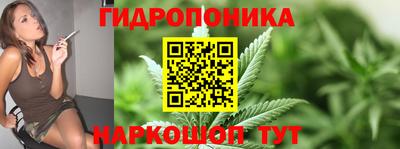 крисы Шебекино