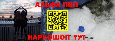 крисы Шебекино