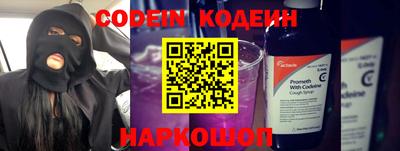 крисы Шебекино