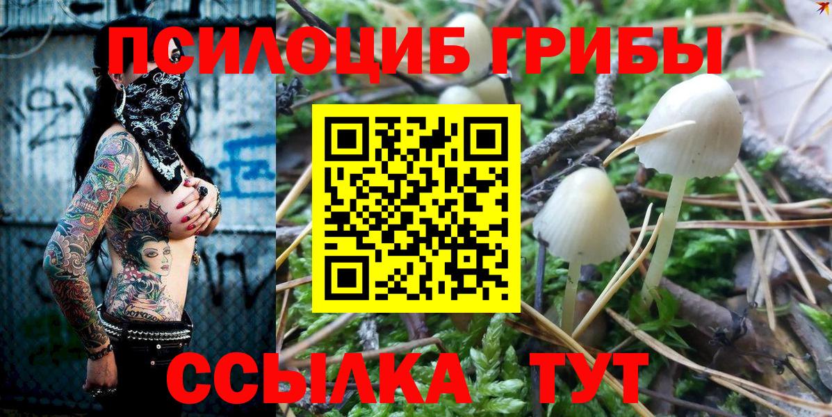 Старая Купавна  Галлюциногенные грибы Psilocybe  Вход с VPN  Галлюциногенные грибы Psilocybe 
